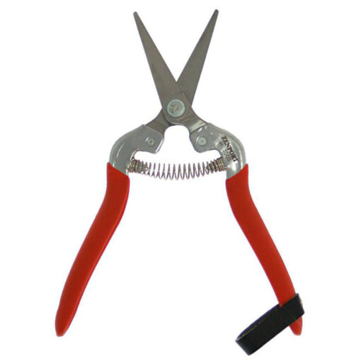 Harvest Shear, Long Straight Stainless Steel Blade