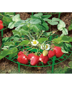 Plant Support Fruit and Vegetable Gardening