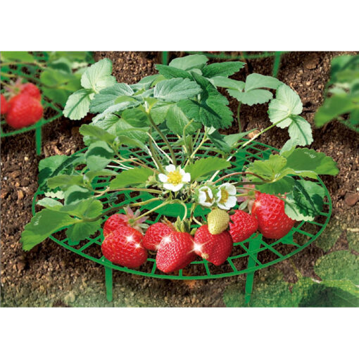 Plant Support Fruit and Vegetable Gardening