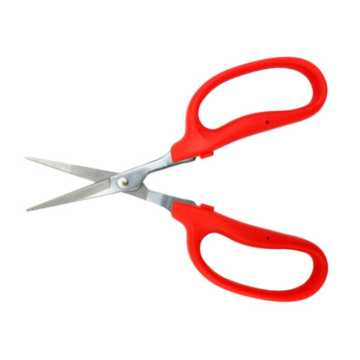 Straight Blade MasaMasa Scissors