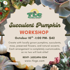 Succulent Pumpkin Workshop,1 PM Sat, Oct 10th