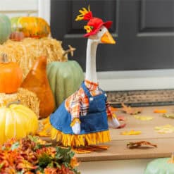 Scarecrow Outfit for Giddy the Porch Goose