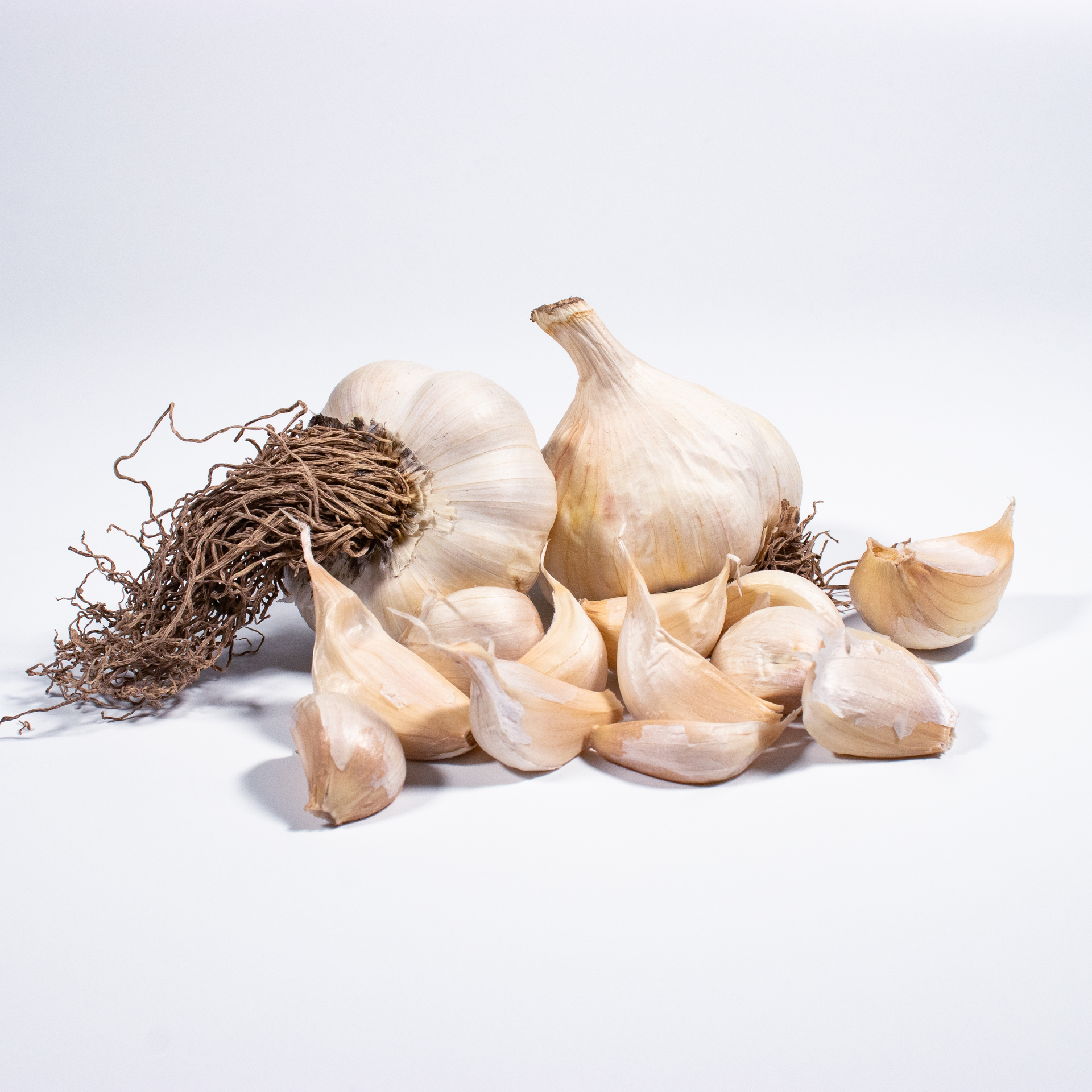 Fall Garlic Pre-Order